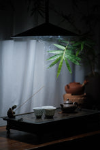 Load image into Gallery viewer, Recommendation of Tongxinshe Teahouse: Embrace the Elegance of the Lotus Seed Teapot in Your Hands