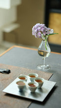 Load image into Gallery viewer, Tongxin‑she · 2005 Tianyou Peak Shui Xian (Aged Wuyi Rock Tea)