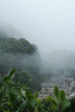 Load image into Gallery viewer, Tongxin She Teahouse · 2026 Yelaixiang Phoenix Dancong from Potou, Daping/夜来香单丛