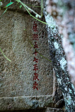 Load image into Gallery viewer, Concentric House Teahouse's Quest for Wuyi Rare Cultivar: Zui Gui Ji