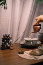 Load image into Gallery viewer, 2023 Wuyi Rock Tea "Qi Dan"