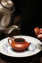 Load image into Gallery viewer, OriginalAspirationinTea,Craftsmanship in Truth A Record of the Custom-made Tongxin She Huxiaoyan Rougui 2025