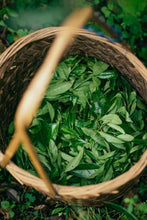 Load image into Gallery viewer, Rock Bone and Flower Fragrance Hidden in a Secret Realm: Tongxinshe Presents the Rare 2025 Wuyi Rock Tea "Yujing Liuxiang"玉井流香 to Tea Lovers