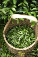 Load image into Gallery viewer, Wuyi rock tea Zheng Yan Rou Gui "Shan Jian Liu Xiang"正岩肉桂山涧留香。