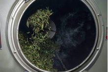 Load image into Gallery viewer, "Ancient tree Tuberose Fragrance dancong oolong".古树夜来香/Gu Shu Ye Lai Xiang.