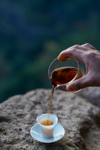 Load image into Gallery viewer, Tongxinshe Teahouse New Launch | Wugui Peak Orchid-Fragrance High-Clump Shui Xian Limited-Time Free Tasting 乌龟岩高枞水仙