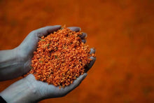 Load image into Gallery viewer, 2023 "Osmanthus Black Tea"/桂花红茶