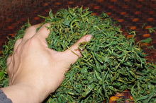 Load image into Gallery viewer, 2024 Tong Mu Guan Lao Cong Hong Cha.