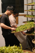 Load image into Gallery viewer, Tongxin She Teahouse 2025 Limited Launch | Handmade Bai Jiguan by Gao Peng and His Mother, A Cup Holds the Elegance of Wuyi白鸡冠。