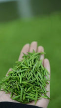 Load image into Gallery viewer, 2025 Wuyishan Tongmu Guan Floral Jinjunmei Black Tea Arrives at Tongxinshe Teahouse! Inviting You to Taste the Essence of Black Tea