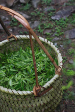 Load image into Gallery viewer, The Beauty of Simplicity and Tranquility in Feizixiao —— Tongxin She Teahouse's Newly Launched 2025 Tongmuguan Black Tea Feizixiao