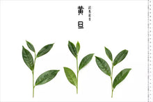 Load image into Gallery viewer, Exploring Huang Dan: A Unique Gem in Wuyi Rock Tea