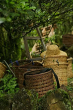 Load image into Gallery viewer, Tongxin She Teahouse | Ancient Tree Niaozui from Shitoujiao, Wudong — Embrace the Mountain Spirit, Taste the Millennia-old Charm古树鸟嘴单丛