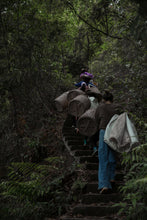 Load image into Gallery viewer, Fujian Oolong Tea Wuyi Rock Tea 2024 Da Keng Kou Rou Gui