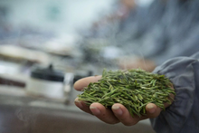 Load image into Gallery viewer, Autumn limited edition "Special Osmanthus Longjing Tea"