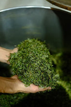 Load image into Gallery viewer, 2025 Wuyishan Tongmu Guan Floral Jinjunmei Black Tea Arrives at Tongxinshe Teahouse! Inviting You to Taste the Essence of Black Tea