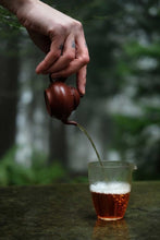 Load image into Gallery viewer, 2020 Traditional Wuyi Rock Tea "Wu Yuan Jian Rou Gui"