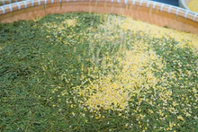 Load image into Gallery viewer, Autumn limited edition "Special Osmanthus Longjing Tea"