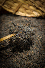 Load image into Gallery viewer, Gentle Warmth for Autumn & Winter, Authentic Flavor in Aged Tea: Tasting Tongxinshe's 1999 Bud Liubao Tea