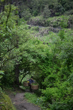 Load image into Gallery viewer, 2020 Traditional Wuyi Rock Tea "Wu Yuan Jian Rou Gui"