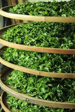 Load image into Gallery viewer, Tongxinshe Teahouse's 2025 Premium Ancient Tree "Dongfanghong" Fenghuang Dancong/特级古树东方红。