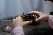 Load image into Gallery viewer, "Ancient tree Tuberose Fragrance dancong oolong".古树夜来香/Gu Shu Ye Lai Xiang.