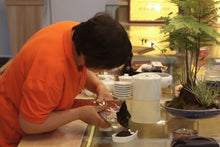 Load image into Gallery viewer, Teacher You Yuqiong, the only female inheritor of Wuyi rock tea Dahongpao skills among the first batch of intangible cultural heritage, represents the tea "Gold Sakyamuni" + "Yu Qiong."