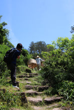 Load image into Gallery viewer, 2024 In Search of Jinjiaoyi Shuixian: A Treasure of Wuyi Rock Tea in Tongxin She Teahouse