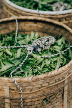 Load image into Gallery viewer, 2024 Tao Xi Da Hong Pao (Peach Fragrance Da Hong Pao)桃喜大红袍。