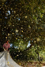 Load image into Gallery viewer, Autumn Limited · Tea Meets Osmanthus | Tongxin She 2025 Tongmu Osmanthus Black Tea "Guiren Duo Wangshi", Presented in a Limited 2.5kg Batch 桂人多旺事。