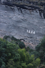 Load image into Gallery viewer, Tongxinshe Starter Rock Tea|Lianhua Peak Rou Gui – A Gentle Rock Rhyme for Beginners 莲花峰肉桂