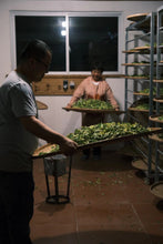 Load image into Gallery viewer, 2024 Discovering the Allure of Beidou: A Hidden Gem in Wuyi Rock Tea