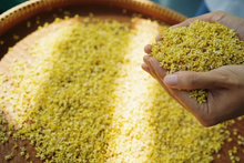 Load image into Gallery viewer, Autumn limited edition "Special Osmanthus Longjing Tea"