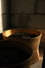 Load image into Gallery viewer, 2023 武夷岩茶“素心兰”/Golden Thread Orchid