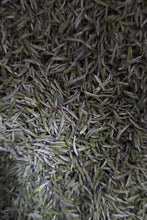 Load image into Gallery viewer, New Arrival | 2025 Taimu Mountain Baihao Yinzhen, the Noble of White Tea, Makes a Stunning Debut