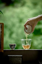 Load image into Gallery viewer, Tongxin She New Release | Orchid Above the Rocks(岩上幽兰)
Pure Qian Li Xiang from Water Curtain Cave – Qishan, Wuyi Rock Tea Limited to 15kg | For Tea Lovers Who Prefer High-Fragrance Teas