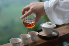 Load image into Gallery viewer, 2024 In Search of Jinjiaoyi Shuixian: A Treasure of Wuyi Rock Tea in Tongxin She Teahouse