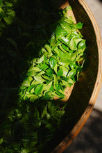 Load image into Gallery viewer, Tongxinshe Teahouse's 2025 Premium Ancient Tree "Dongfanghong" Fenghuang Dancong/特级古树东方红。