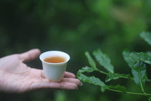Load image into Gallery viewer, Tongxinshe Teahouse 2025 New Launch | "Peach Delight" Da Hong Pao - Limited Free Tasting Available桃喜大红袍