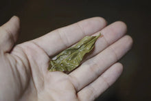 Load image into Gallery viewer, Phoenix Dancong Ancient Tree WuDong "Yan Shang Zhen/Rock Treasure/岩上珍"