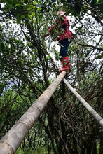 Load image into Gallery viewer, Time-Aged Rhythm of Ancient Groves – Tongxin She's 2018 Huiyuan Keng Luxiu Old Arbor Shui Xian