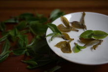 Load image into Gallery viewer, Yi Bang PuerSheng Tea Ancient Tree Cat's Ear/猫耳朵古树普洱生茶.