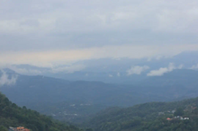 Load image into Gallery viewer, 2015 Xi Gui Ancient Trees Puer Tea