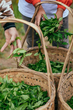 Load image into Gallery viewer, Tongxinshe Teahouse 2025: "Liulanxiang" – Rare Premium Wuyi Rock Tea from Core Cliff Terroir 留兰香