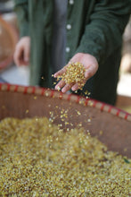 Load image into Gallery viewer, A Ruby Hue Holds Autumn's Essence: Tongxinshe Teahouse Presents Limited-Edition "Jiuqu Hongmei" for Autumn 九曲红梅