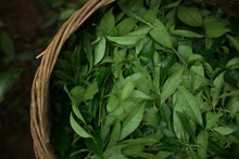 Load image into Gallery viewer, Zhengyan Jin Mu Dan: The Floral Pinnacle of Wuyi Rock Tea。弥陀岩金牡丹