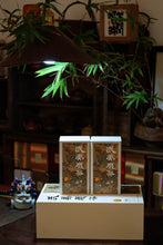 Load image into Gallery viewer, Dragon Boat Festival Special|Tongxinshe Tea House's Unique "Taoxi Dahongpao" Tea Gift Box: A Taste of Oriental Romance in Wuyi Rock Tea