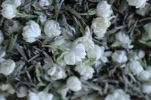 Load image into Gallery viewer, A Cup of Jasmine Silver Needle Tea: Hiding All the Vividness and Tenderness of the World