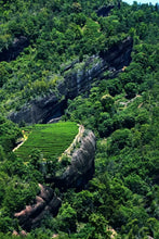 Load image into Gallery viewer, Tongxin She Teahouse | Moss Traces & Spring Dew · Tianxin Rock Shi Ru/天心岩石乳。