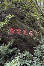 Load image into Gallery viewer, Tongxin She Teahouse | Moss Traces & Spring Dew · Tianxin Rock Shi Ru/天心岩石乳。